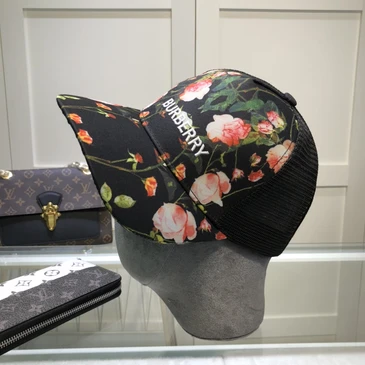 Burberry Fashion Caps #24910