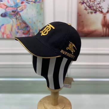 Burberry Fashion Caps #24870