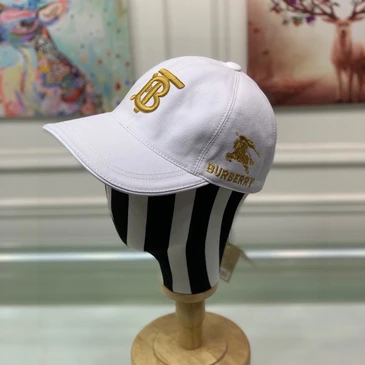 Burberry Fashion Caps #24877