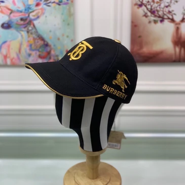 Burberry Fashion Caps #24901