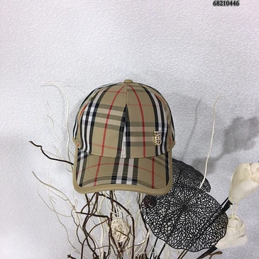 Burberry Fashion Caps #24891