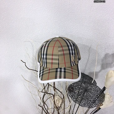 Burberry Fashion Caps #24897