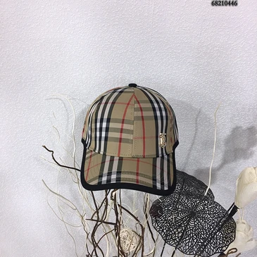 Burberry Fashion Caps #24906