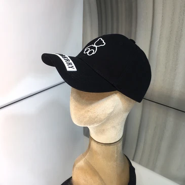 Burberry Fashion Caps #24892