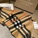 6Burberry Unisex Fashionable Scarf #25407