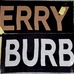 6Burberry Fashionable Scarf #24697