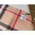 3Burberry Fashionable Scarf #24824