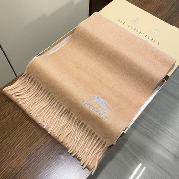 Burberry Fashion Scarf #22758