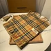 3Burberry Fashion Unisex Scarf #23922