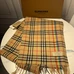 4Burberry Fashion Unisex Scarf #23922