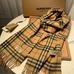 6Burberry Fashion Unisex Scarf #23922