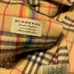 7Burberry Fashion Unisex Scarf #23922