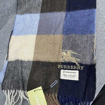 Burberry Fashionable Scarf #24580