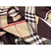 6Burberry Fashionable Scarf #24810