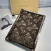 5Burberry Fashion Scarf #22869