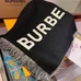 4Burberry Fashion Unisex Scarf #22868