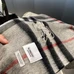 10Burberry Fashion Scarf #23947