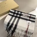 3Burberry Fashion Scarf #23951