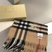 3Burberry Fashion Scarf #23952