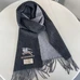 10Burberry Fashion Unisex Scarf #22871