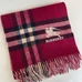 4Burberry Fashion Scarf #22822