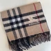 4Burberry Fashion Scarf #22834