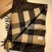 4Burberry Fashion Unisex Scarf #22769