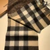 6Burberry Fashion Unisex Scarf #22769