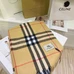 5Burberry Fashion Scarf #24954