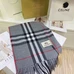 7Burberry Fashion Scarf #24929