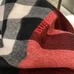 9Burberry Fashion Scarf #22819