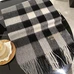 5Burberry Fashion Scarf #22821