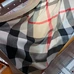 4Burberry Fashion Scarf #21682