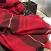 9Burberry Fashion Women Scarf #22189