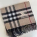 4Burberry Fashion Scarf #22855