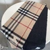 10Burberry Fashion Scarf #22855