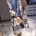 1Burberry Fashion Scarf #22839