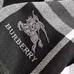 10Burberry Fashion Scarf #22845