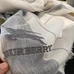 9Burberry Fashion Women Scarf #22194