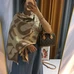 3Burberry Fashion Scarf #25420