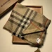 3Burberry Fashion Scarf #22824