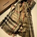 6Burberry Fashion Scarf #22824