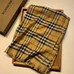 3Burberry Fashion Scarf #22838