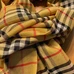 7Burberry Fashion Scarf #22838