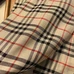 4Burberry Fashion Scarf #22844