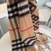 10Burberry Fashion Scarf #22829