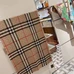 4Burberry Fashion Scarf #22861