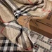 7Burberry Fashion Scarf #22861