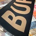 7Burberry Fashion Scarf #22178