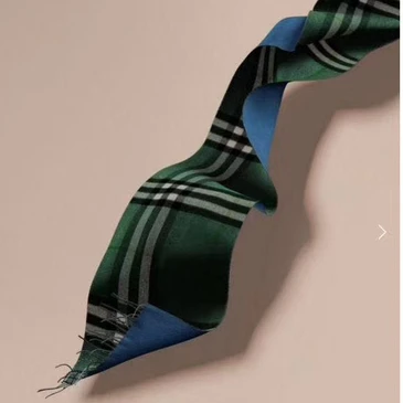 Burberry Fashion Unisex Scarf #22760